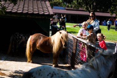 Esaret altında büyüyen güzel hayvanlar ve kuşlar.