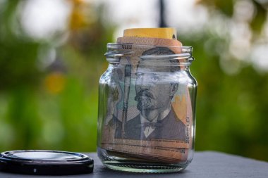 Romen LEI banknotu cam kavanozda para biriktiriyor. Tüketim ve ekonomi. İş, bahşiş, finans, tasarruf, bankacılık ve insan kavramı