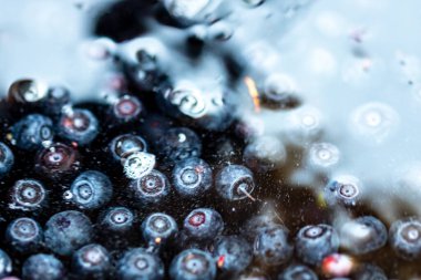 Taze yabanmersini. Taze toplanmış organik yaban mersini.