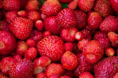 Yukarıdan taze kırmızı çilekler. Olgun çilek