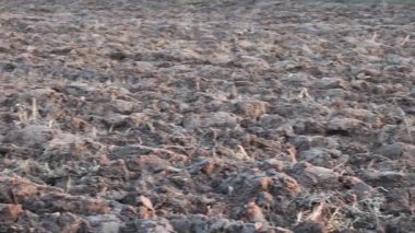 Üretilebilir tarım arazilerine bahar ekimi için hazırlanmış verimli toprak.