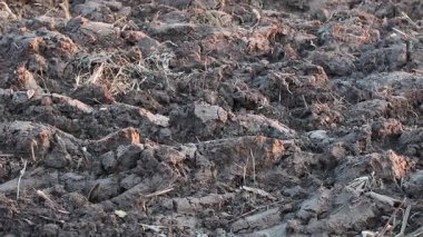 Üretilebilir tarım arazilerine bahar ekimi için hazırlanmış verimli toprak.