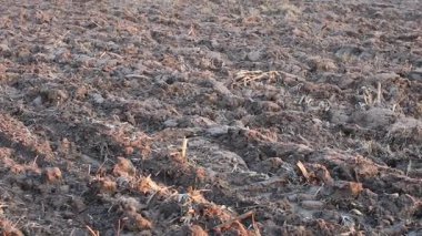 Üretilebilir tarım arazilerine bahar ekimi için hazırlanmış verimli toprak.