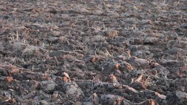 Üretilebilir tarım arazilerine bahar ekimi için hazırlanmış verimli toprak.