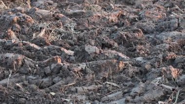 Üretilebilir tarım arazilerine bahar ekimi için hazırlanmış verimli toprak.