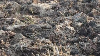 Üretilebilir tarım arazilerine bahar ekimi için hazırlanmış verimli toprak.