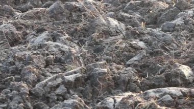 Üretilebilir tarım arazilerine bahar ekimi için hazırlanmış verimli toprak.