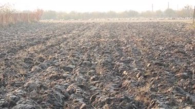 Üretilebilir tarım arazilerine bahar ekimi için hazırlanmış verimli toprak.