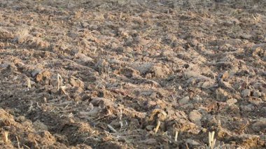 Üretilebilir tarım arazilerine bahar ekimi için hazırlanmış verimli toprak.