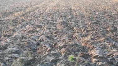 Üretilebilir tarım arazilerine bahar ekimi için hazırlanmış verimli toprak.