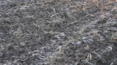 Üretilebilir tarım arazilerine bahar ekimi için hazırlanmış verimli toprak.