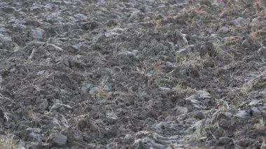 Üretilebilir tarım arazilerine bahar ekimi için hazırlanmış verimli toprak.