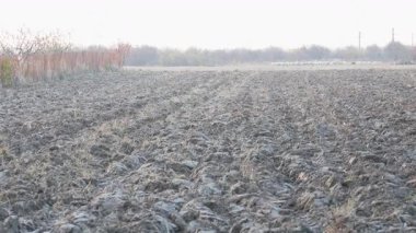 Üretilebilir tarım arazilerine bahar ekimi için hazırlanmış verimli toprak.