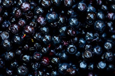 Taze yabanmersini. Taze toplanmış organik yaban mersini.