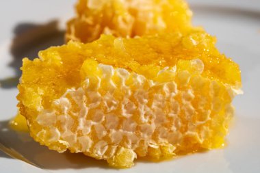 Bal peteğinden eriyen kalın bal. Sağlıklı gıda konsepti