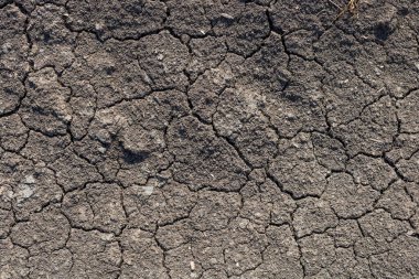 Küresel ısınma, yazın kuraklık. Kuru toprak arkaplanının koyu toprak dokusu yakın plan
