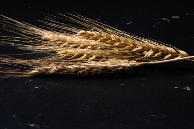 Buğday detayı. Fırın için mısır gevreği, un üretimi