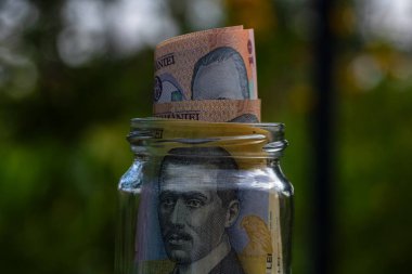 Romen LEI banknotu cam kavanozda para biriktiriyor. Tüketim ve ekonomi. İş, bahşiş, finans, tasarruf, bankacılık ve insan kavramı