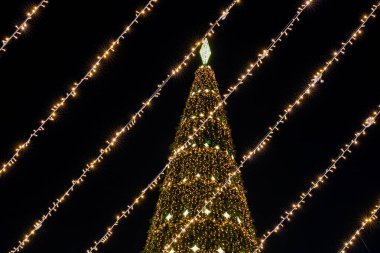 Gece Bükreş Noel pazarında süslü ağaçlar, renkli dönme dolaplar ve tatil pazarının tadını çıkaran insanlar