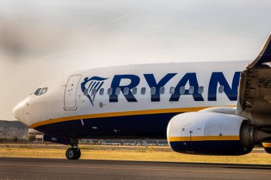 Commercial passenger jet airliner, Ryan Air