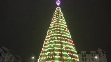 Targoviste Noel Pazarı. Şehir meydanında süslü ağaçlar ve şenlikli ışıklar var. İnsanlar Noel Pazarı 'nı seviyor