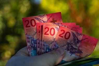 İsviçre frangı banknotları. CHF Para Birimi