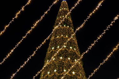 Gece Bükreş Noel pazarında süslü ağaçlar, renkli dönme dolaplar ve tatil pazarının tadını çıkaran insanlar