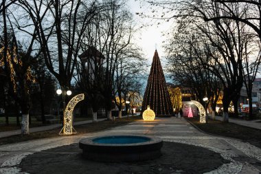 Noel pazarında dekore edilmiş ağaçlar ve şehir meydanında şenlikli ışıklar