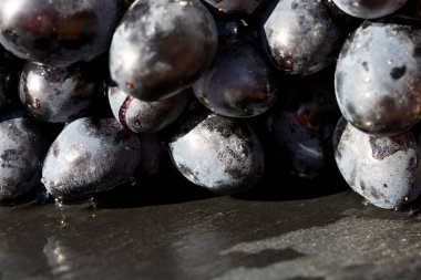 Taze iştah açıcı olgun kırmızı üzümler detaylı bir makro fotoğrafta deri dokusunu ve yiyecek arka planı için doğal gelişimi gösteriyor.