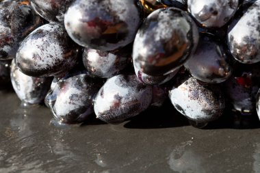Taze iştah açıcı olgun kırmızı üzümler detaylı bir makro fotoğrafta deri dokusunu ve yiyecek arka planı için doğal gelişimi gösteriyor.