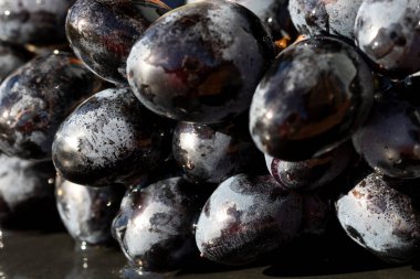 Taze iştah açıcı olgun kırmızı üzümler detaylı bir makro fotoğrafta deri dokusunu ve yiyecek arka planı için doğal gelişimi gösteriyor.