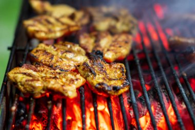 Domuz bifteği ve sosis sıcak ızgarada pişiyor. Açık hava pikniği için duman ve alevlerle.