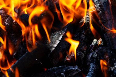 Barbekü ızgarası, yanan odun ve ateş alevleri. Parlak alevli boş kömür ızgarası.