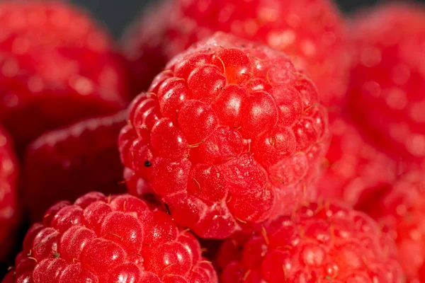 Taze iştah açıcı olgun ahududu. Detaylı bir makro fotoğrafta doku ve canlı kırmızı ahududu rengini gösteriyor.