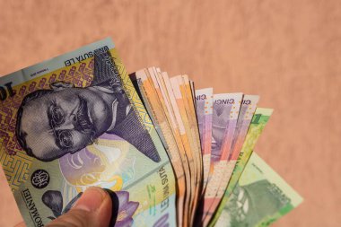 Romen para banknotlarını tutan, kağıt doku ve Rumen LEI para biriminin sembollerini gösteren bir adam.