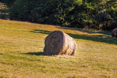Hasat mevsiminde farklı ekinler ve samanlarla tarımsal tarlalarda altın saman balyaları