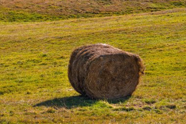 Hasat mevsiminde farklı ekinler ve samanlarla tarımsal tarlalarda altın saman balyaları