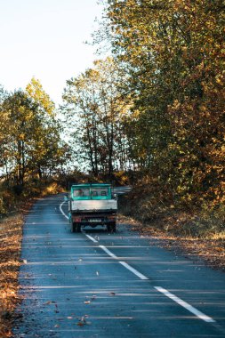 Boş bir asfalt yolda giden araba altın sonbahar manzaralı bir ormanın içinden geçiyor.