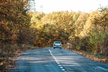 Boş bir asfalt yolda giden araba altın sonbahar manzaralı bir ormanın içinden geçiyor.