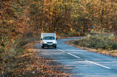 Boş bir asfalt yolda giden araba altın sonbahar manzaralı bir ormanın içinden geçiyor.