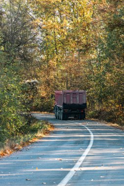 Boş bir asfalt yolda giden araba altın sonbahar manzaralı bir ormanın içinden geçiyor.