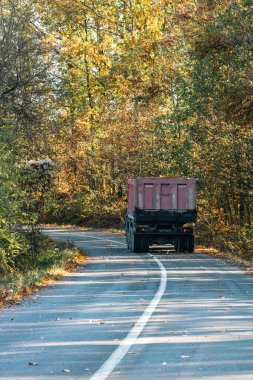 Boş bir asfalt yolda giden araba altın sonbahar manzaralı bir ormanın içinden geçiyor.