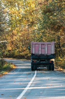 Boş bir asfalt yolda giden araba altın sonbahar manzaralı bir ormanın içinden geçiyor.