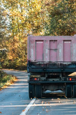 Boş bir asfalt yolda giden araba altın sonbahar manzaralı bir ormanın içinden geçiyor.