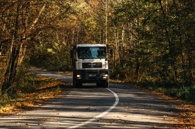 Boş bir asfalt yolda giden araba altın sonbahar manzaralı bir ormanın içinden geçiyor.