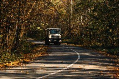 Boş bir asfalt yolda giden araba altın sonbahar manzaralı bir ormanın içinden geçiyor.