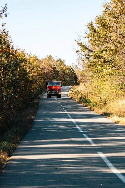 Boş bir asfalt yolda giden araba altın sonbahar manzaralı bir ormanın içinden geçiyor.