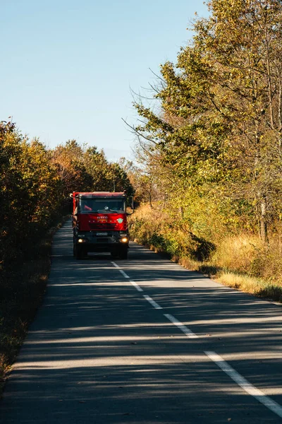 Boş bir asfalt yolda giden araba altın sonbahar manzaralı bir ormanın içinden geçiyor.