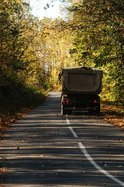 Boş bir asfalt yolda giden araba altın sonbahar manzaralı bir ormanın içinden geçiyor.