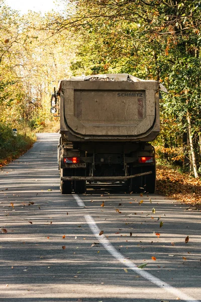 Boş bir asfalt yolda giden araba altın sonbahar manzaralı bir ormanın içinden geçiyor.